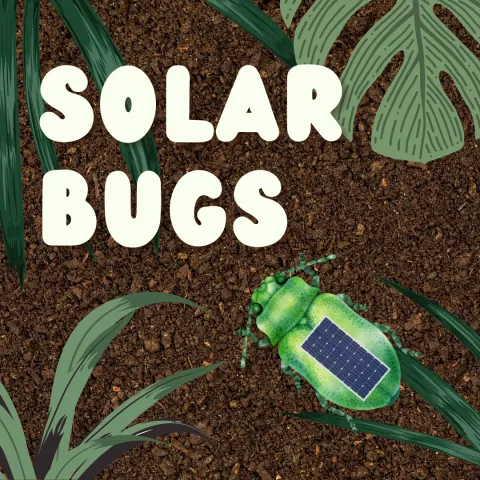 green beetle with solar cell 